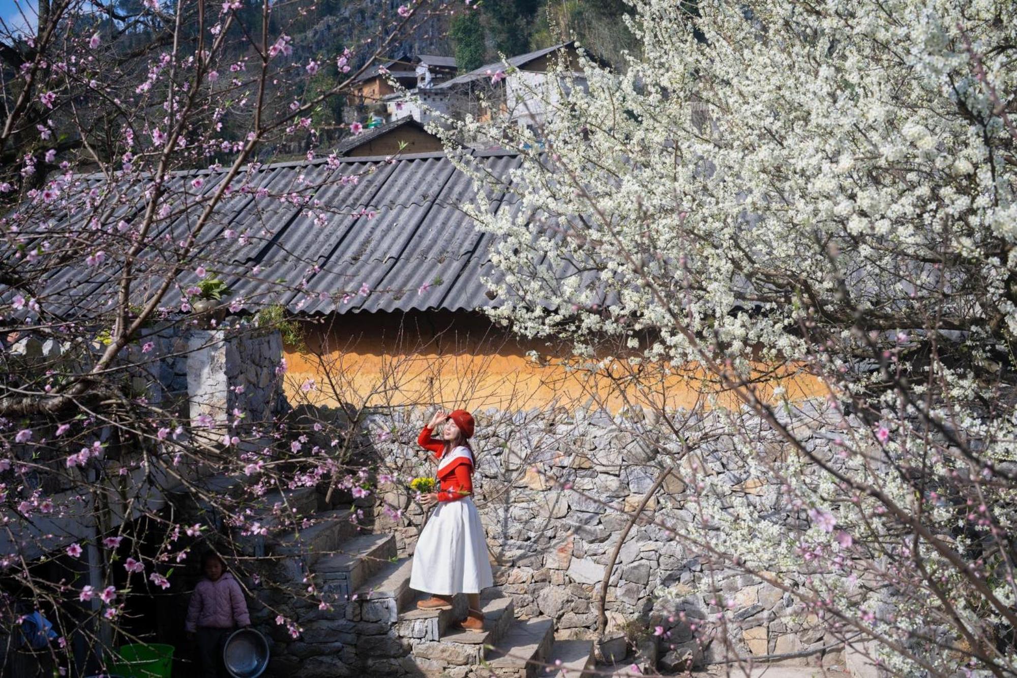 Nha Co Lao Xa Homestay Hmong & Bungalow Air Conditioner Dong Van  Kültér fotó
