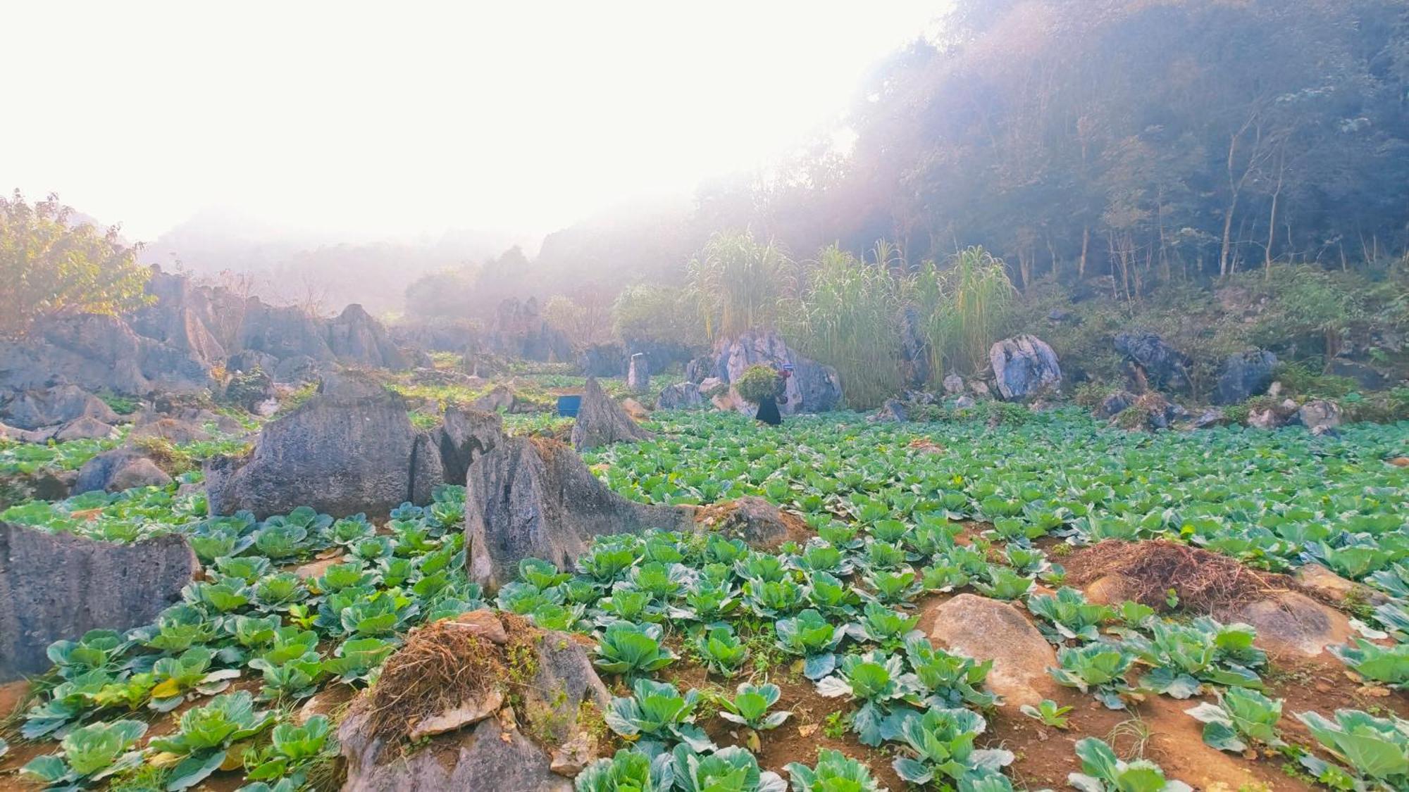 Nha Co Lao Xa Homestay Hmong & Bungalow Air Conditioner Dong Van  Kültér fotó